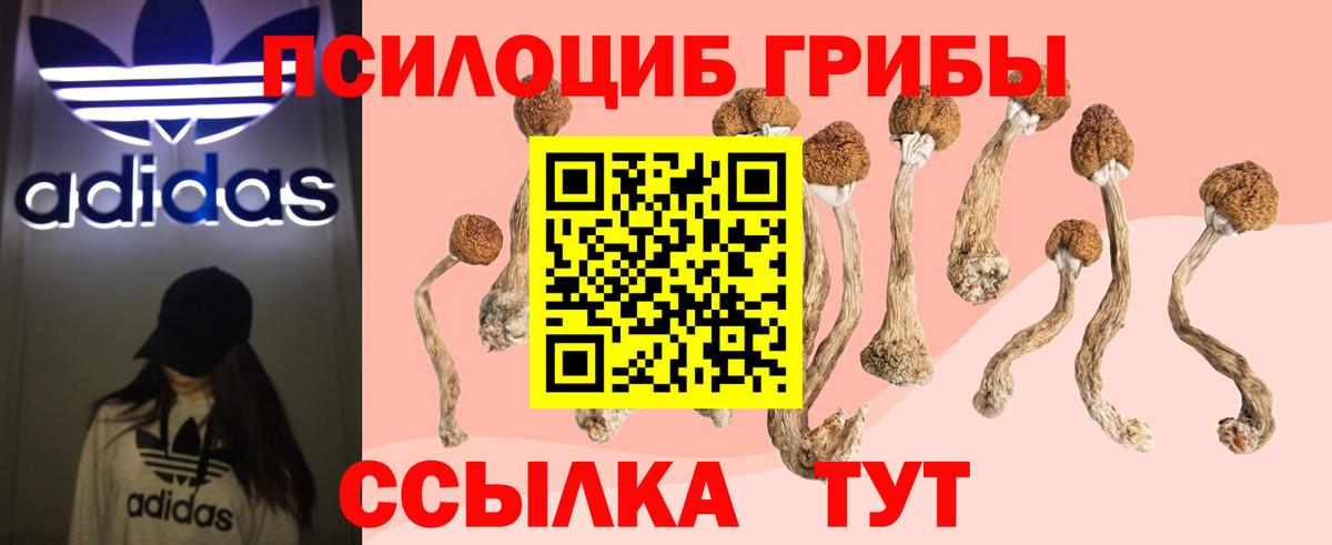 Волоколамск  Псилоцибиновые грибы мухоморы  Вход с VPN 